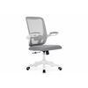 Компьютерное кресло Salem gray / white | Интернет магазин мебели и декора LifeDekor