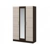 Шкаф «Алена» 3дв с зеркалом, Венге/Дуб молочный | Интернет магазин мебели и декора LifeDekor