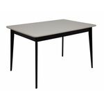 Стол Рэй-1200 (венге / слоновая кость 9001) | Интернет магазин мебели и декора LifeDekor