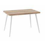 БОРГ RADIAL-120(160)х80стол раздвижной, Дуб каньон/Белый | Интернет магазин мебели и декора LifeDekor