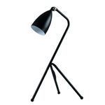 Лампа настольная Moderli V10998-T Show | Интернет магазин мебели и декора LifeDekor