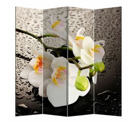 Ширма 1111-4 "Белая орхидея и капли" (4 панели) | Интернет магазин мебели и декора LifeDekor