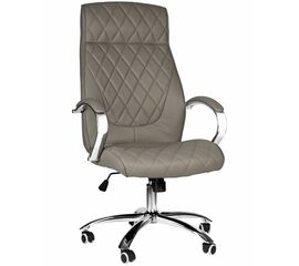 Офисное кресло для руководителей DOBRIN BENJAMIN, серый, Вариант: серый | Интернет магазин мебели и декора LifeDekor