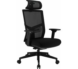 Эргономичное кресло Everprof Fuji Сетка Черный | Интернет магазин мебели и декора LifeDekor