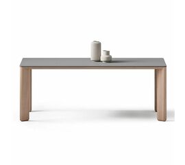 Стол обеденный Pluto (200) массив бук + пластик | Интернет магазин мебели и декора LifeDekor