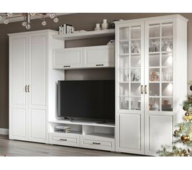 Гостиная «Лацио-1» со шкафом, Белый/Белое дерево | Интернет магазин мебели и декора LifeDekor