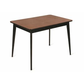 Стол Рэй-1030 прямоугольный  (венге / средний тон + венге) | Интернет магазин мебели и декора LifeDekor