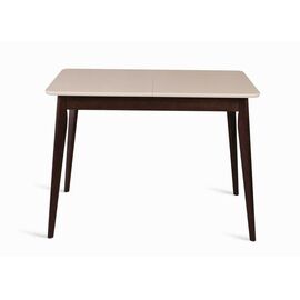 Стол Рэй-1030 прямоугольный  (темный тон / слоновая кость 9001) | Интернет магазин мебели и декора LifeDekor