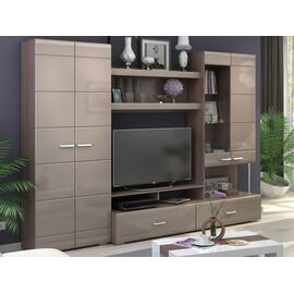 Стенка «Вегас», Кофе с молоком/шимо темный | Интернет магазин мебели и декора LifeDekor