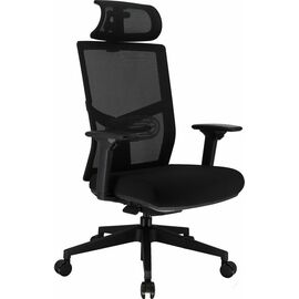 Эргономичное кресло Everprof Fuji Сетка Черный | Интернет магазин мебели и декора LifeDekor
