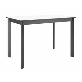 Стол DikLine LK110 Керамика Mono white (белый матовый) /подстолье черное/опоры черные | Интернет магазин мебели и декора LifeDekor