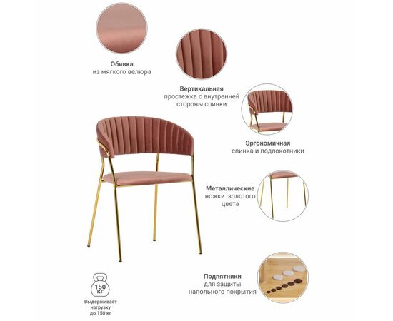 Стул Turin пудровый с золотыми ножками, изображение 12 | Интернет магазин мебели и декора LifeDekor