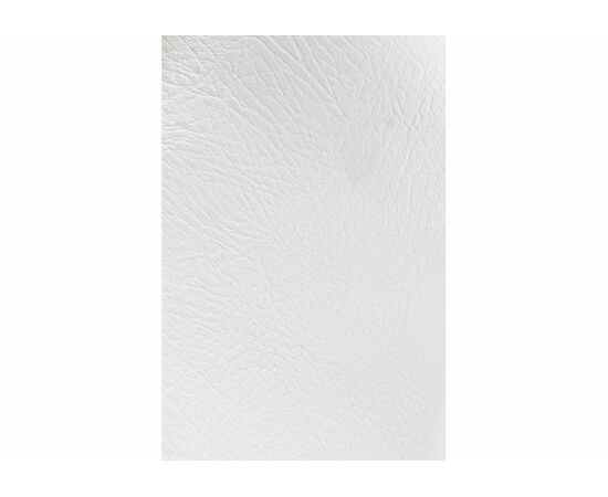 Стул Goki с мягкой спинкой белый полимер / светлый мусс, изображение 7 | Интернет магазин мебели и декора LifeDekor