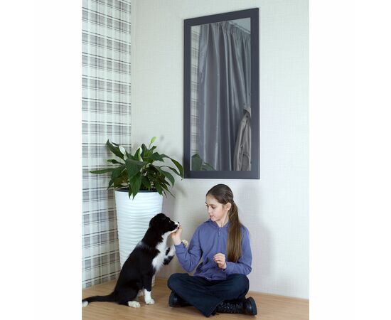 Зеркало настенное BeautyStyle 11 серый графит 118 см х 60,6 см, изображение 7 | Интернет магазин мебели и декора LifeDekor