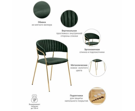 Комплект из 4-х стульев Turin зеленый, золотые ножки, изображение 11 | Интернет магазин мебели и декора LifeDekor