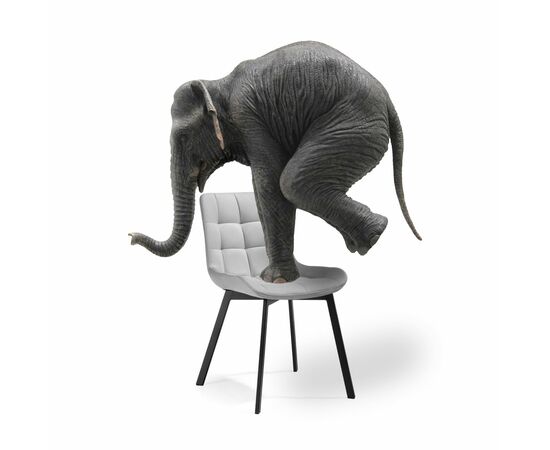 Стул на металлокаркасе Стронг 4 шт светло-серый / черный, изображение 13 | Интернет магазин мебели и декора LifeDekor