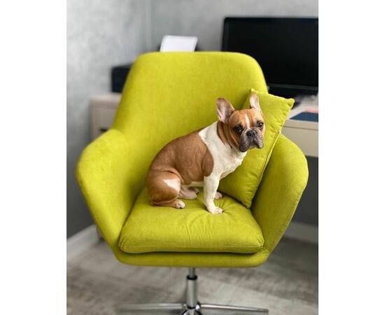 Кресло Рон травяной, изображение 3 | Интернет магазин мебели и декора LifeDekor