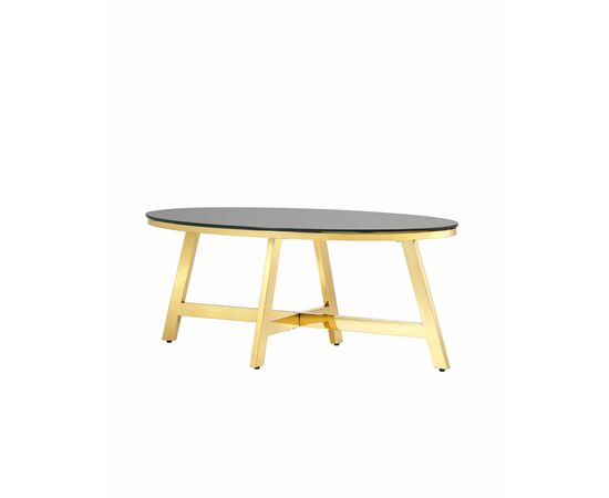 Журнальный стол 100*50 АЛЬБА золото стекло черное | Интернет магазин мебели и декора LifeDekor