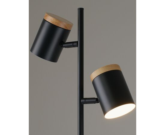 Торшер Moderli V11287-2F Asheswood, изображение 4 | Интернет магазин мебели и декора LifeDekor