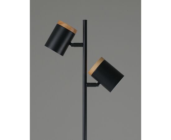 Торшер Moderli V11287-2F Asheswood, изображение 6 | Интернет магазин мебели и декора LifeDekor