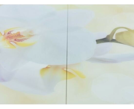 Стол «Ривьера» фотопечать Цветы-5, хром, изображение 7 | Интернет магазин мебели и декора LifeDekor