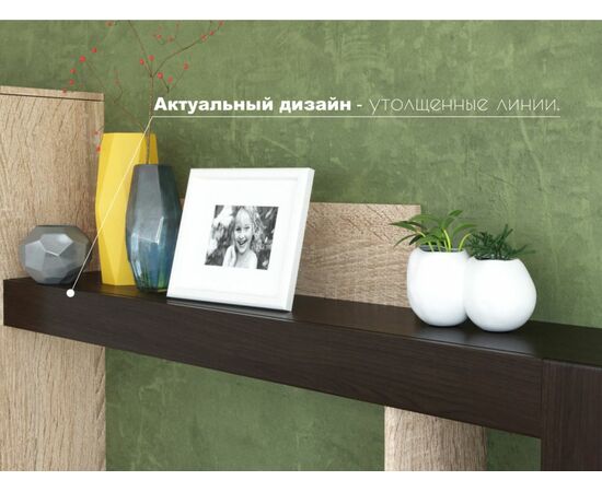 Стенка «Торонто», Дуб Сонома/венге, изображение 5 | Интернет магазин мебели и декора LifeDekor